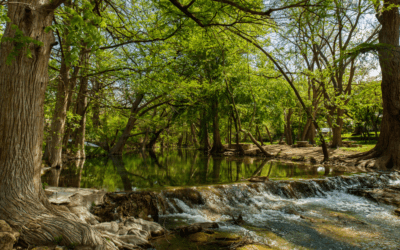 Discover Wimberley: Where every path leads to a story